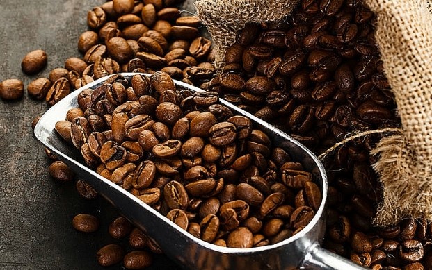 Giá cà phê hôm nay Một bài viết chi tiết về giá cà phê năm 2023